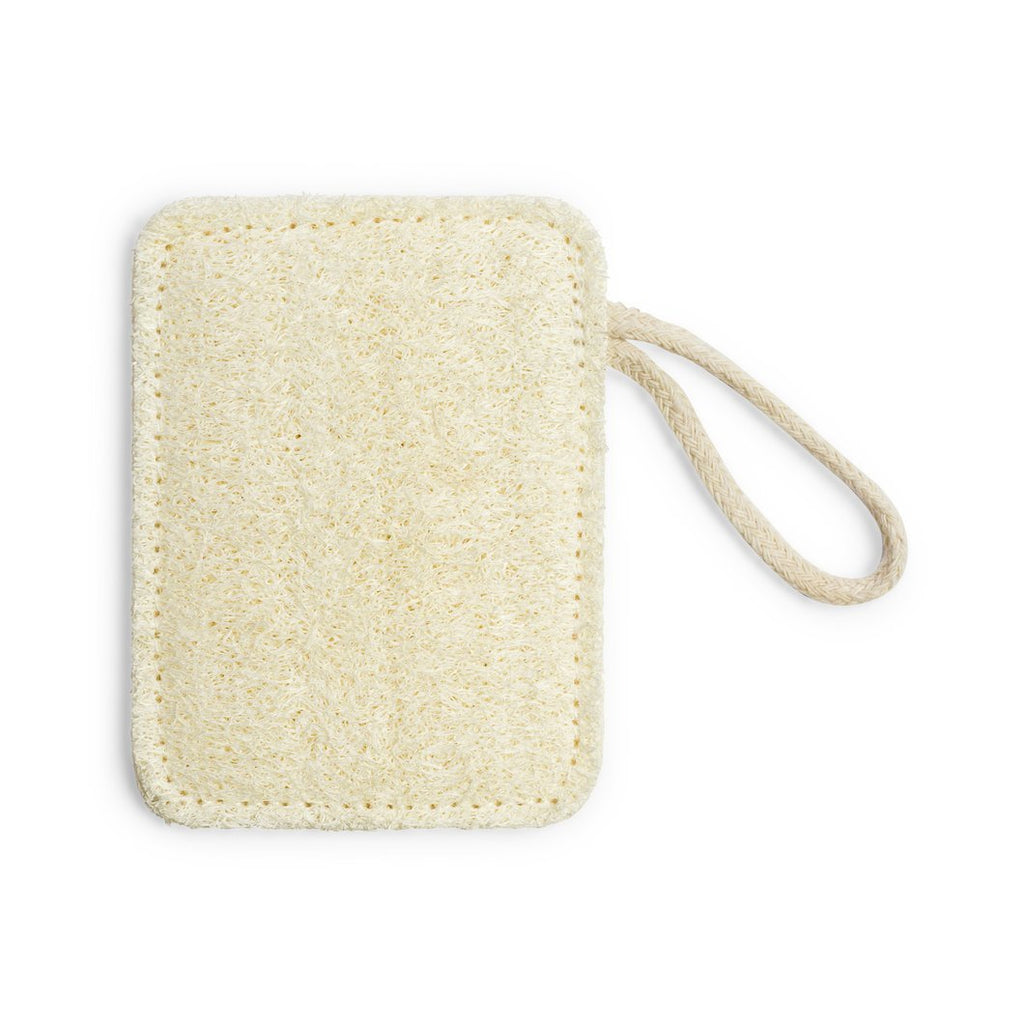 Eco-friendly loofah kitchen sponges by Kassel Trade™